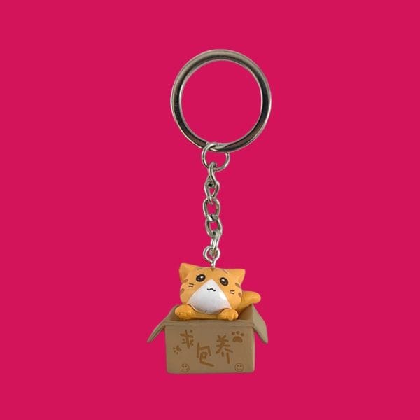 Porte-clés chaton dans un carton